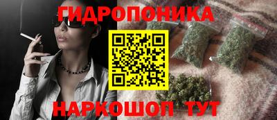 дурь Гусев