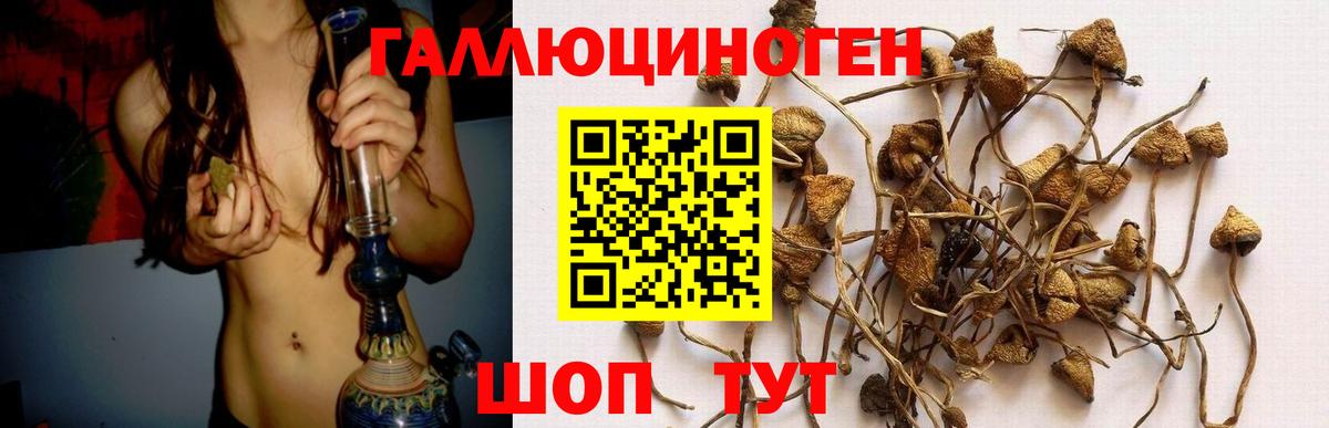 Магнитогорск  Псилоцибиновые грибы мухоморы  Вход с VPN  Галлюциногенные грибы Psilocybine cubensis 
